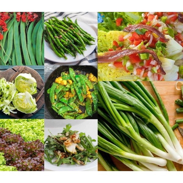 最终健康饮食蔬菜花园-生活成本危机生存包-超过100个蔬菜植物!