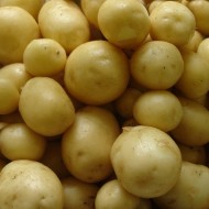 马里斯同行10 - 2早期土豆种子包