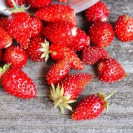 阿尔卑斯草莓- Rujana -一包十个