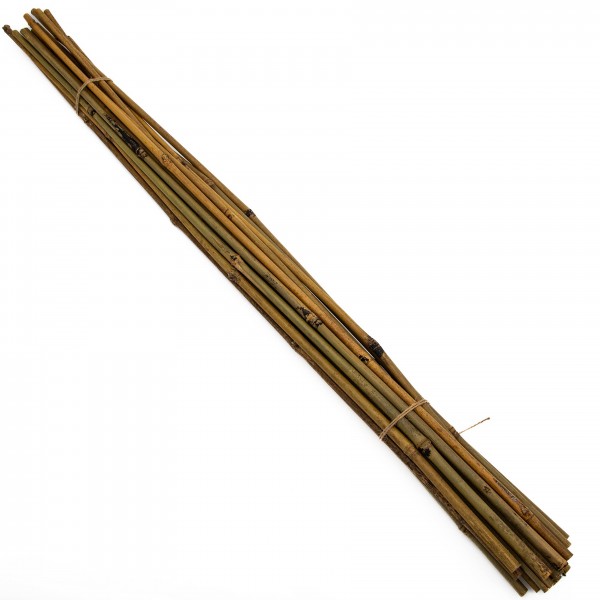 竹手杖- 5尺群十二