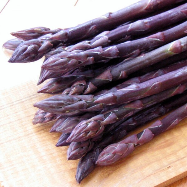 芦笋——太平洋紫色