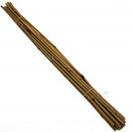 竹手杖- 3英尺的十八岁